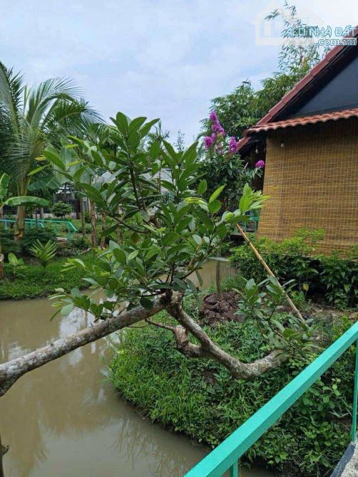 Bán đất 1.500 m2 có nhà cây ăn trái gần chợ Mỹ Khánh - 4