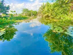 Bán gấp đất nhà vườn Phước Khánh Nhơn Trạch GẦN SÔNG giá rẻ 3tr/m. SR chính chủ.GỌI NGAY - 4