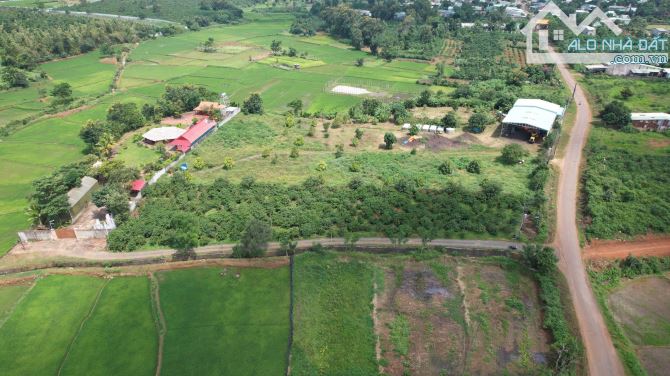 Cần chuyển nhượng hơn 1ha đất mt đường Nguyễn Bá Lai, view ruộng cực đẹp, Pleiku - Gia Lai - 4