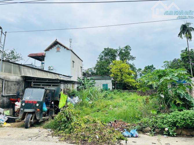 Hàng Mới Đẹp F0 125,7m Nam Phương Tiến Chương Mỹ HN 🌟 LÔ ĐẤT SIÊU ĐẸP – VỊ TRÍ ĐẮC ĐỊA – - 4
