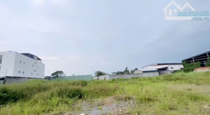 5000m2 đất thổ giá Chỉ hơn 15 triệu 1m² giá cực tốt tại Hóc Môn - 5