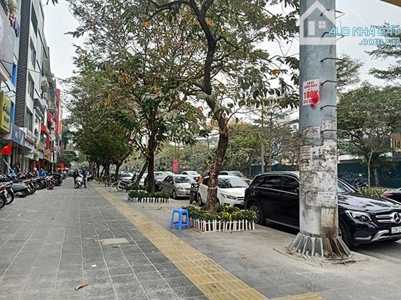 🏡 BÁN NHÀ NGUYỄN KHANG – PHÂN LÔ – Ô TÔ ĐỖ CỬA – CẠNH CÔNG VIÊN - NGÕ THÔNG TỨ TUNG - 5