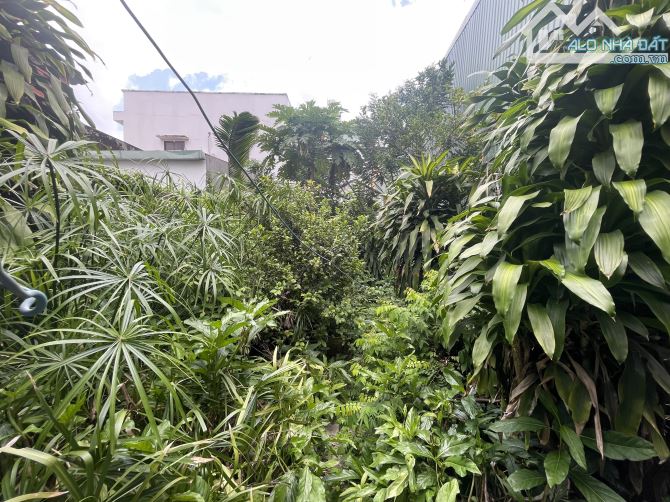 ‼️BÁN ĐẤT TẶNG NHÀ MẶT TIỀN CHỐT DƯỚI 100tr/m2 - MẶT TIỀN ĐƯỜNG NGUYÊN HỒNG - BÌNH THẠNH - 5