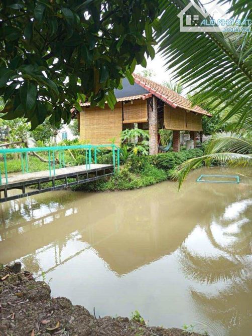 Bán đất 1.500 m2 có nhà cây ăn trái gần chợ Mỹ Khánh - 5