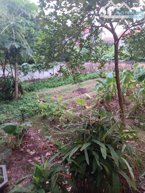Bán đất Đại Mạch, Đông Anh, 358m2, mặt tiền 22m, giá 90 tr/m2 - 5