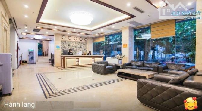 KS Trần Thái Tông 176m², MT 23m, 12 Tầng + Hầm - 188 Tỷ - 6