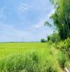 Bán Đất Phường Điện Phương - Sát View Lúa - 125m2 - MT 5m - 810Trieu