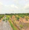 Siêu Phẩm, chỉ 900tr sở hữu 1000m2 đất vườn chanh View Kênh