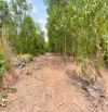 Đất Mặt Tiền đường Vành Đai 4, Bình Minh - Trảng Bom
