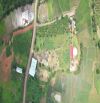 Cần chuyển nhượng hơn 1ha đất mt đường Nguyễn Bá Lai, view ruộng cực đẹp, Pleiku - Gia Lai
