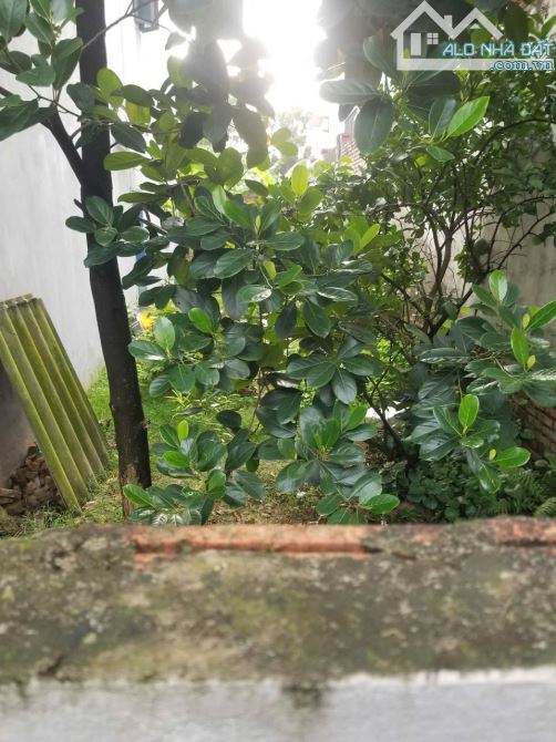 bán đất đông hội giá tốt, sát vin cổ loa , ra cầu tứ liên vài phút , ngõ thông