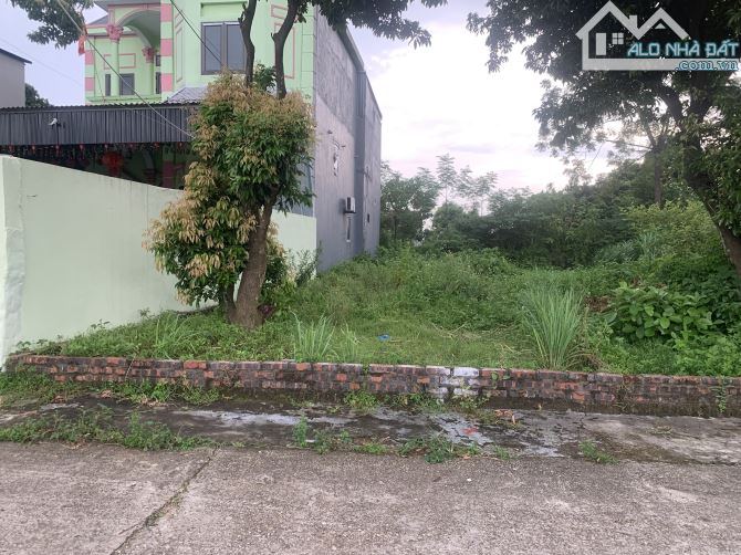 Bán Đất – Phú Cường (Minh Phú – Sóc Sơn ) – 123m² – 3 Tỷ – Trục Chính Thôn –3 Ô Tô Tránh -