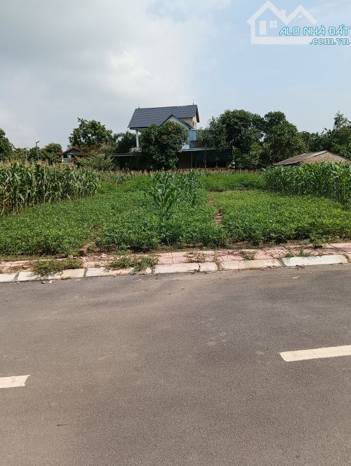 Bán Đất - Thái Lai(Minh Trí - Sóc Sơn) - 110M2 Full Thổ Cư - 2,7 Tỷ - Đường Thông Ô Tô Trá
