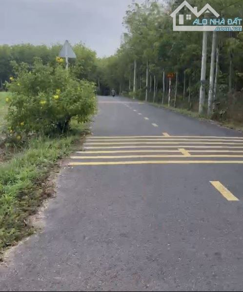 Bán 4.824 m2 đất mặt tiền Long Nguyên 05 Bàu Bàng sát bên KCN Bàu Bàng