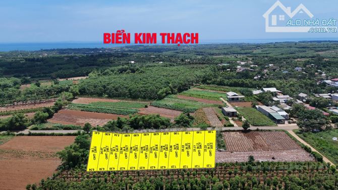 🌊 CHÍNH THỨC MỞ BÁN – 12 LÔ F0 ĐẤT BIỂN VIP NHẤT CỬA TÙNG! 🌊