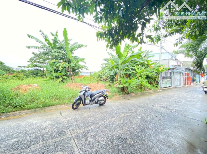 BÁN ĐẤT VƯỜN LÀI AN PHÚ ĐÔNG QUẬN 12 - 32m X 40m - MẶT TIỀN ĐƯỜNG NHỰA - 16 Tỉ