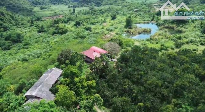 12ha CÓ ĐẤT THỔ CƯ, CLN , ĐẤT RSX .TẠI THUNG GIAO . TÚ SƠN . KIM BÔI . PHÚ THỌ .HB cũ