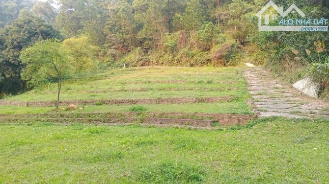 BÁN HƠN 4,5HA ĐẤT ĐẸP – VIEW TOÀN CẢNH HỒ ĐỒNG ĐÒ, SÓC SƠN, DÀNH CHO NHÀ ĐẦU TƯ CÓ TẦM