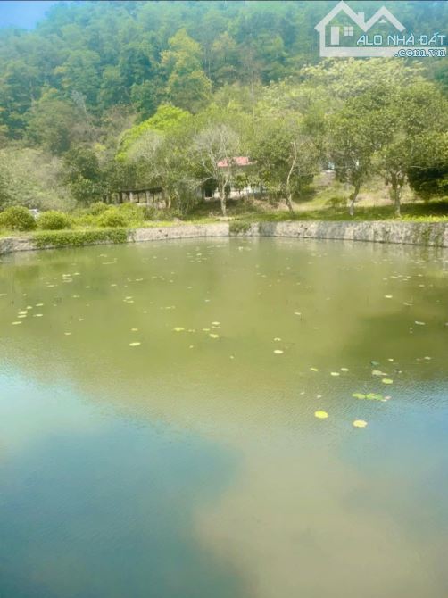 BÁN HƠN 4,5HA ĐẤT ĐẸP – VIEW TOÀN CẢNH HỒ ĐỒNG ĐÒ, SÓC SƠN, DÀNH CHO NHÀ ĐẦU TƯ CÓ TẦM - 12