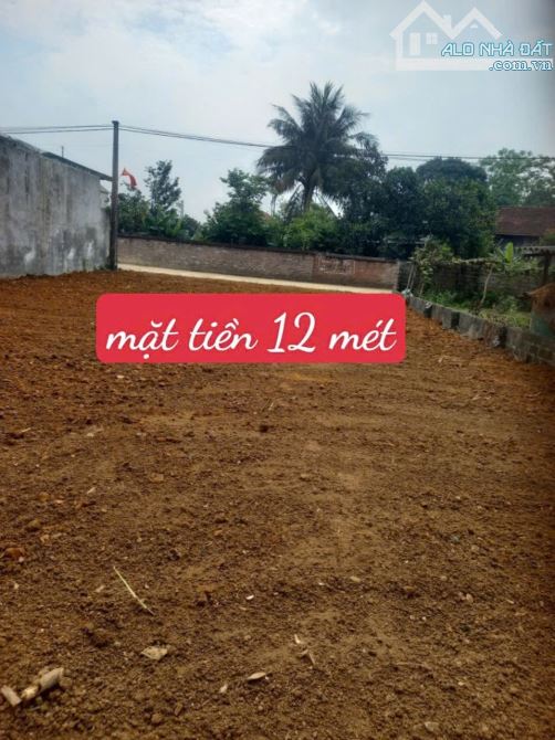 Cần Bán Đất Yên Bài, DT 372m2-100m2 đất ở Khu Vực Tiềm Năng Giá Chỉ 2,9 Tỷ