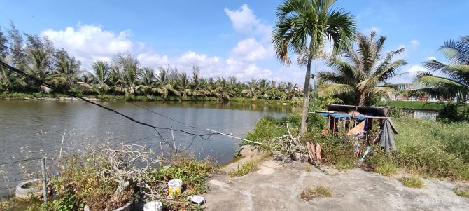 Bán hơn 5000m đất,trên đất có mô hình VAC ở kiến thụy,hải Phòng