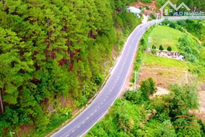 2.122m2 ĐẤT MẶT TIỀN MIMOSA- THÍCH HỢP LÀM KHU DU LỊCH, TRẠM DỪNG CHÂN, KINH DOANH ĐA NGHỀ