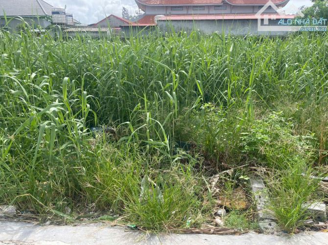 E có lô đất Phong Cầu, Đại Đồng, Kiến Thụy, Hải Phòng 76m.