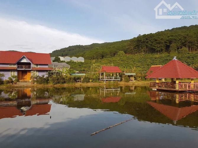BÁN KHU NGHỈ DƯỠNG PHƯỜNG CAM LY ĐÀ LẠT - DIỆN TÍCH HƠN 9.000M2 TẶNG TOÀN BỘ HẠ TẦNG