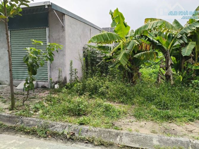 BÁN ĐẤT TRÂU QUỲ GIA LÂM-PHÂN LÔ VỈA HÈ-THÔNG THOÁNG- 52m2-MT4,5m-10,8 tỷ