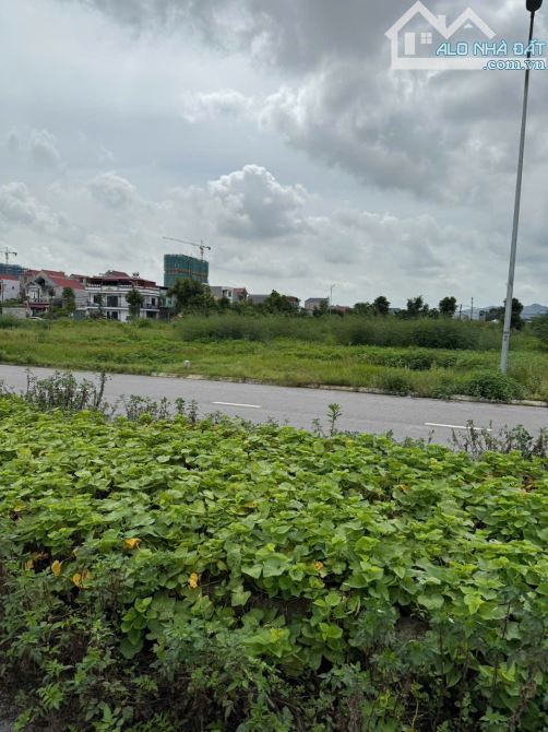 Bán Đất BigC Bắc Giang, Thành Phố Bắc Giang . Dt 85m2- Mt 5m. Đường 32m. Giá 8 tỷ