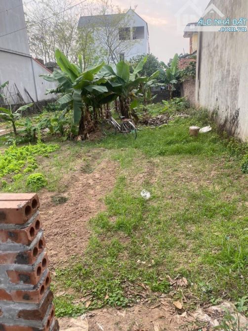 🌸🌸🌸Đất Đẹp Tự Nhiên  - Thường Tín - Hà Nội  ⛔️Diện tích: 200M2 thích hợp làm kho xưởng