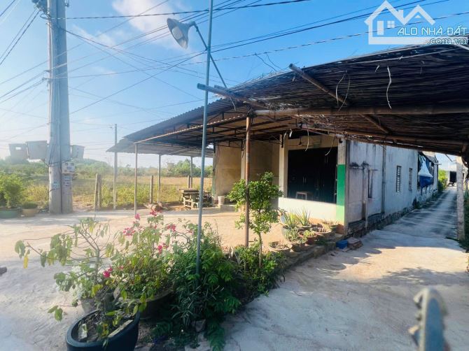 Bán lô đất mặt tiền đường Chuông Quýt xã  Phước Thuận nay là xã Hồ Tràm, tp Hồ Chí Minh