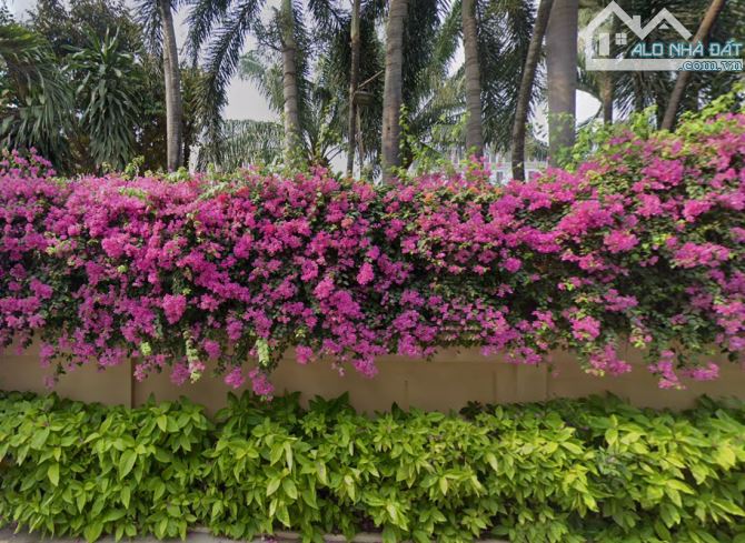 ĐẤT ĐẸP, GIÁ TỐT - MT đường Nguyễn Đăng Giai, P. Thảo Điền Q2. DT 575m2. Giá chỉ 220tr/m2