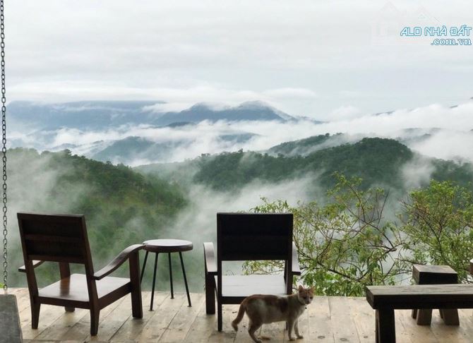1.183M2 FULL XÂY DỰNG MẶT TIỀN LÊ VĂN TÁM - NGANG 50MET - CÓ GPXD 8 TẦNG VIEW RỪNG THÔNG