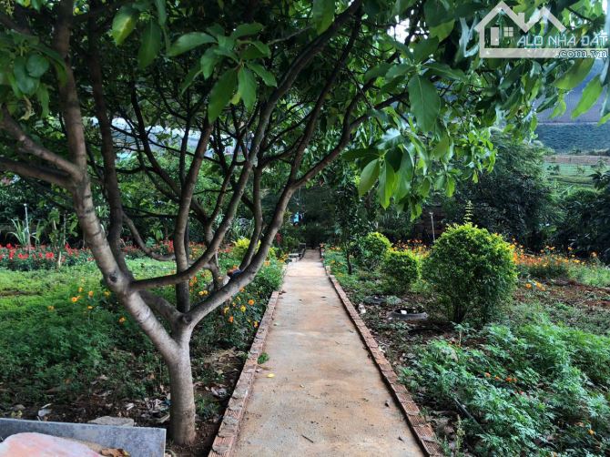 BÁN KHU NGHỈ DƯỠNG PHƯỜNG CAM LY ĐÀ LẠT - DIỆN TÍCH HƠN 9.000M2 TẶNG TOÀN BỘ HẠ TẦNG - 10