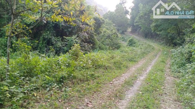 BÁN HƠN 4,5HA ĐẤT ĐẸP – VIEW TOÀN CẢNH HỒ ĐỒNG ĐÒ, SÓC SƠN, DÀNH CHO NHÀ ĐẦU TƯ CÓ TẦM - 11