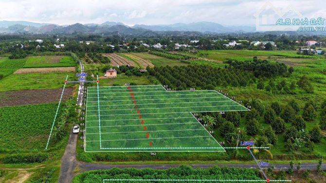 🎁 Đất vườn Chôm Chôm 210m2 có thổ cư giá chỉ 299tr - 1