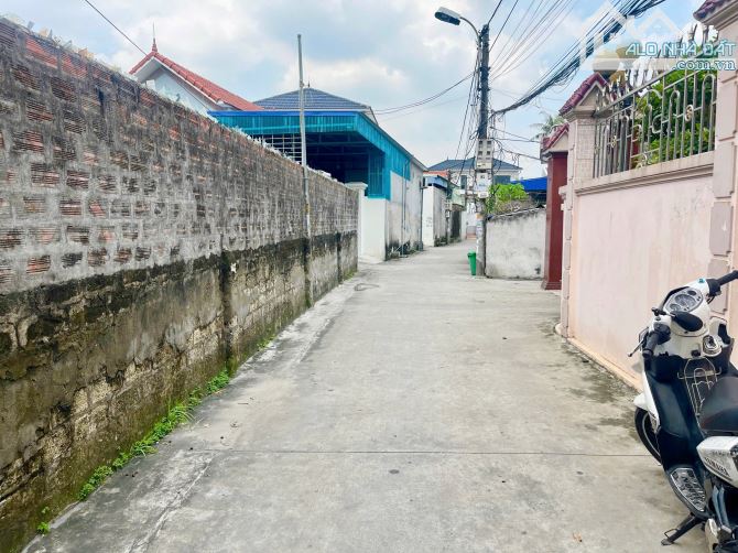 Hàng hiếm An Lư - Thuỷ Nguyên - Hải Phòng - 1 lô góc - 1