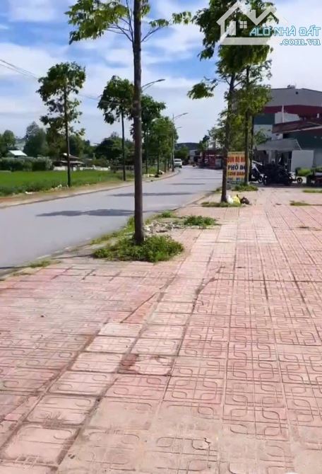Bán đất phân lô đấu giá An Bình, Vọng Đông. Yên Trung, KCN SamSung Yên Phong Bắc Ninh. - 1