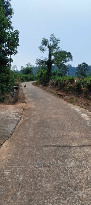 Bán đất Ba Vì, Hà Nội, gần đền Trung, 3514m, oto, thế đất cao, view toàn cảnh, 5.6tỷ - 1