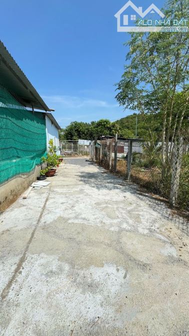 BÁN LÔ ĐẤT ĐẸP – TỔ 4 DIÊN LẠC, DIÊN KHÁNH - ĐƯỜNG Ô TÔ – KHU DÂN CƯ HIỆN HỮU - 1