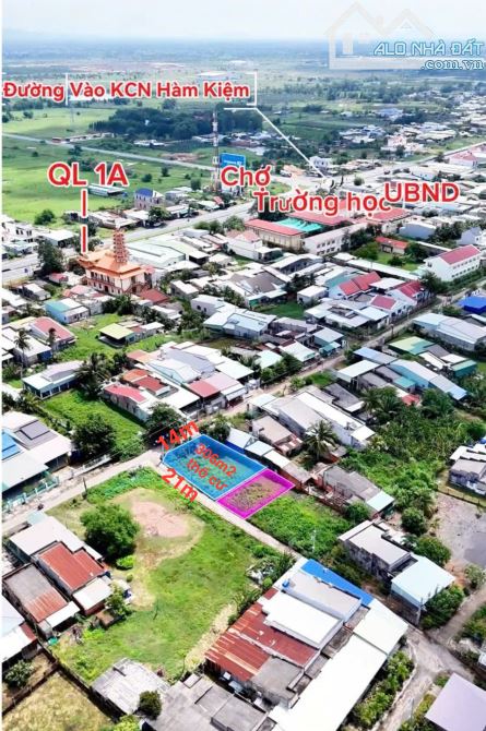 💥BÁN ĐẤT THỔ CƯ GÓC 2MT NHỰA GẦN KCN HÀM KIỆM - 1