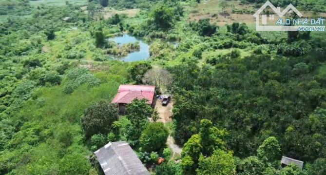 12ha CÓ ĐẤT THỔ CƯ, CLN , ĐẤT RSX .TẠI THUNG GIAO . TÚ SƠN . KIM BÔI . PHÚ THỌ .HB cũ - 1