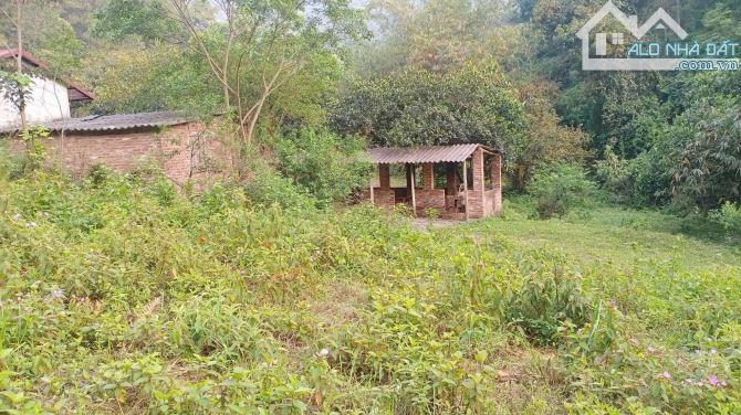 BÁN HƠN 4,5HA ĐẤT ĐẸP – VIEW TOÀN CẢNH HỒ ĐỒNG ĐÒ, SÓC SƠN, DÀNH CHO NHÀ ĐẦU TƯ CÓ TẦM - 1
