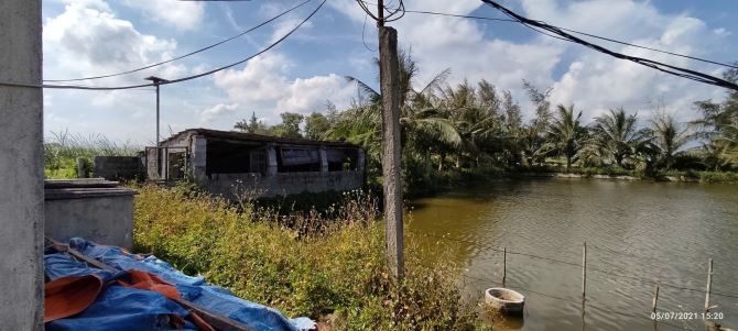 Bán hơn 5000m đất,trên đất có mô hình VAC ở kiến thụy,hải Phòng - 1