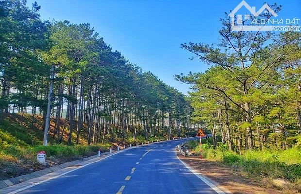 2.122m2 ĐẤT MẶT TIỀN MIMOSA- THÍCH HỢP LÀM KHU DU LỊCH, TRẠM DỪNG CHÂN, KINH DOANH ĐA NGHỀ - 1