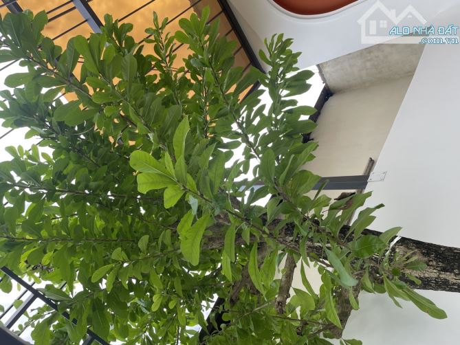 🌟 NHÀ ĐẸP – NGUYỄN ĐÌNH CHIỂU – 100M² – 7.5 TỶ 🌟 - 1