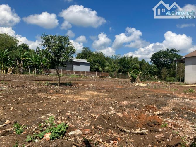 Hơn 1 Hecta đất vườn giáp suối tại mặt tiền đường Mã Vôi, xã Bảo Hòa, Xuân Lộc - 1