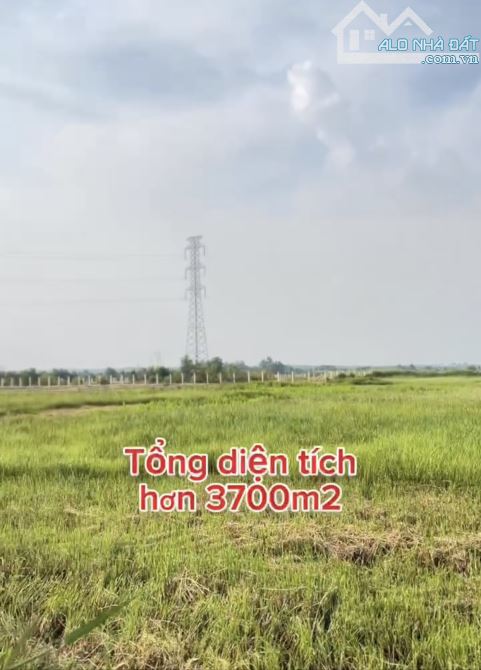 Bán đất An Tây 3.700m2 gần sông Sài Gòn cực đẹp giá tốt - 1