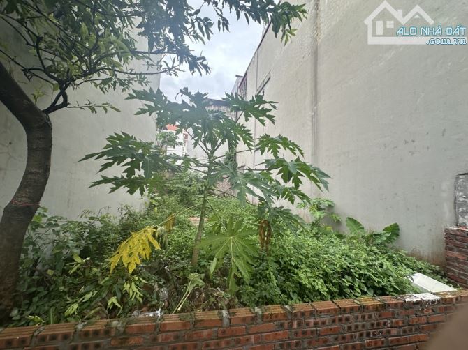 Bán đất Mai Lâm (trong đê), diện tích rộng 84m2, ngõ thông, cách 1 nhà ra bãi để oto. - 1